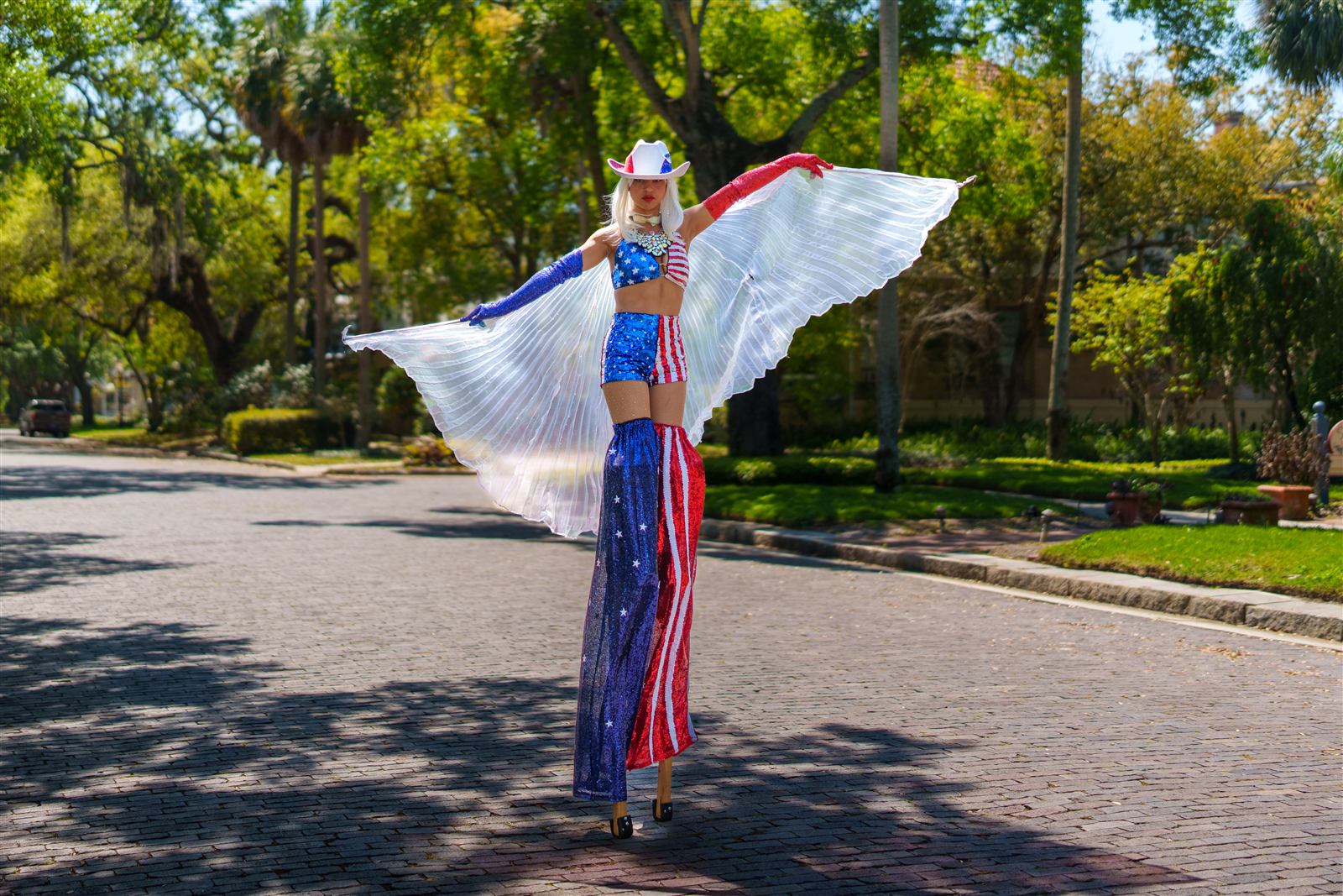 Zanquera con alas blancas y traje patriótico